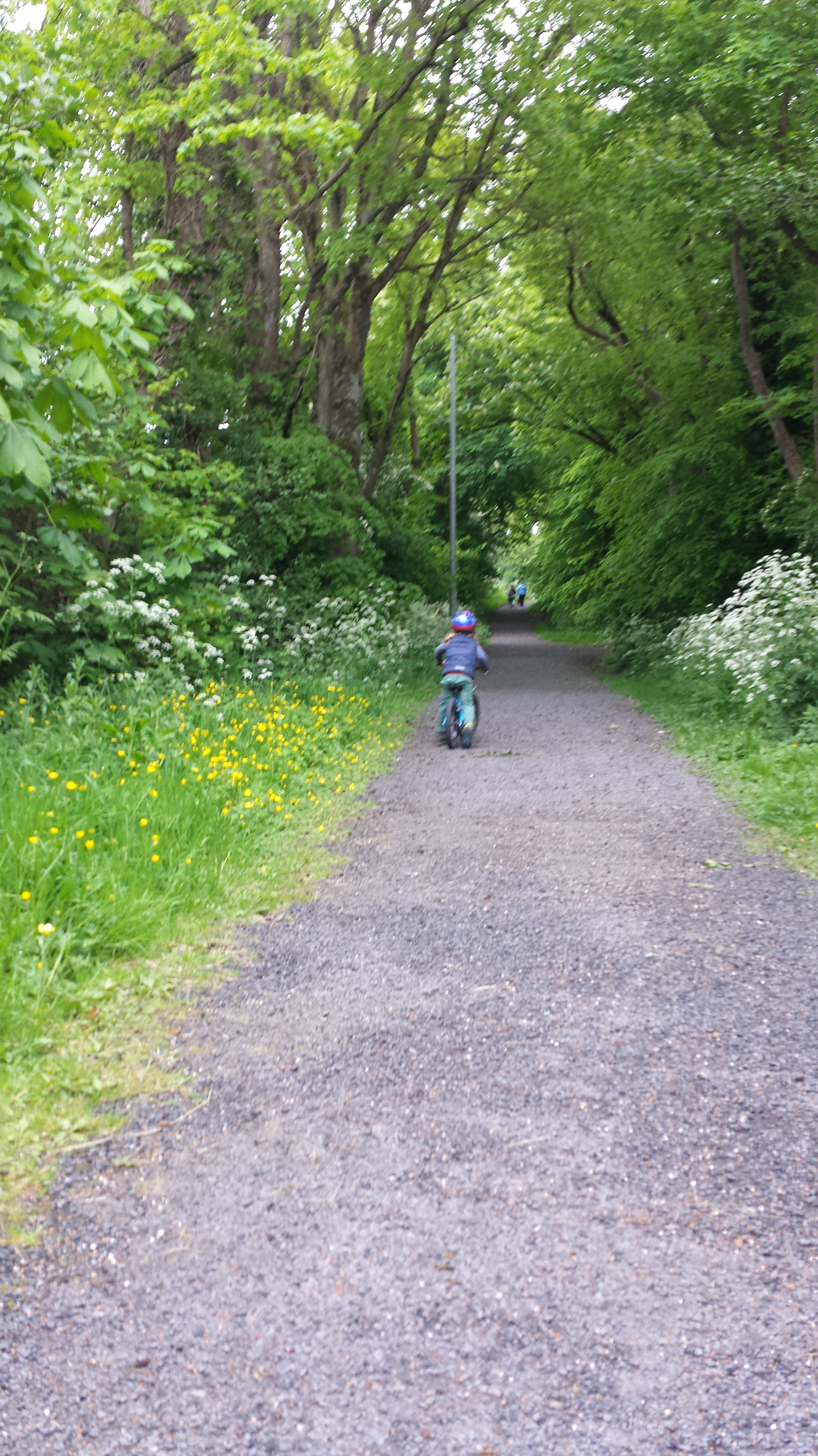 Bike ride in the Baggot Estate Limerick