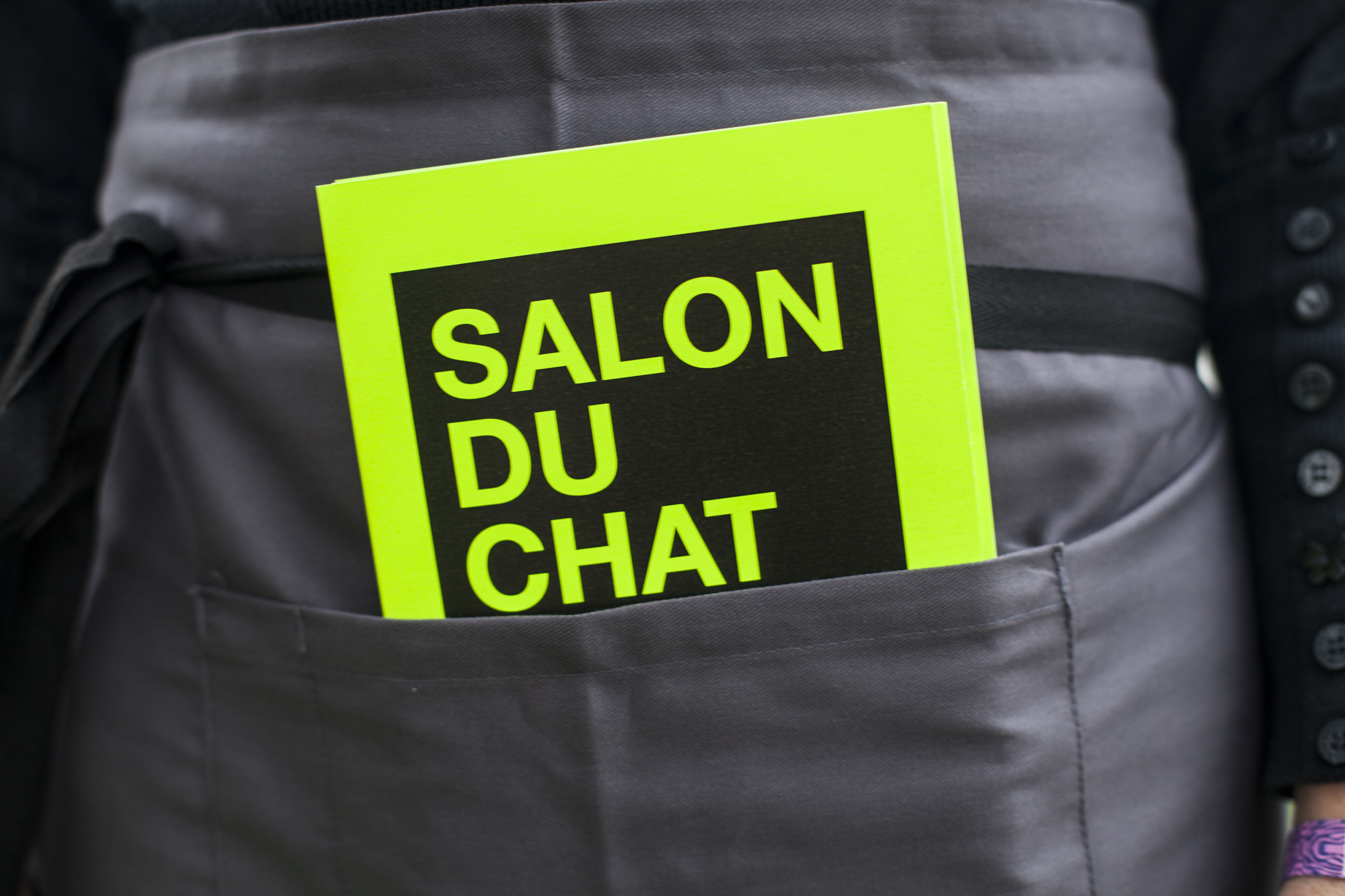 Salon du Chat menu, Electric Picnic 2014